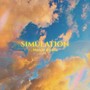 Simulation