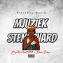 Mjuziek x Stenarvard