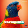 variopinto (Explicit)