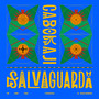 SALVAGUARDA