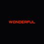 Wonderful_