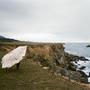 Movements on a Cliff in Marin