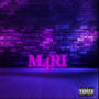 M4RI (Explicit)