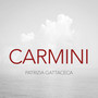 Carmini