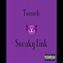 Sneaky Link (Explicit)