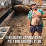 Der Guarro Zaprovechan Asta Loh Andares Killo