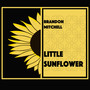 Little Sunflower