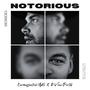 Notorious (feat. D-Vine) [Explicit]