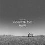 Goodbye, For Now (Explicit)