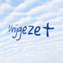 Vrijgezet