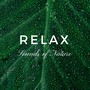 Relax: Sounds of Nature for Stress Relief, Music for Deep Relaxation, Yoga Exercises, Sleep Well, Deep Meditation