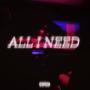 All I Need (Explicit)