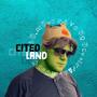 Cited Land (Explicit)