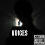 Voice's