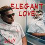 ELEGANT LOVE (Explicit)