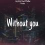 Without You (feat Dhollow) [Explicit]