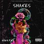 SNAKES (Explicit)