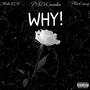 WHY! (feat. Multiszn & PlutoCraxy) [Explicit]