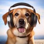 Canine Chords: Music for Dogs' Day