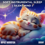 Soft Instrumental Sleep (Silent Mind)