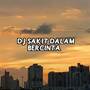 Dj sakit dalam bercinta (Explicit)