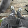 Walk On My Feet (Explicit)