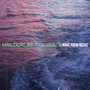 Melodic Beats, Vol. 3