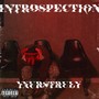 INTROSPECTION (Explicit)