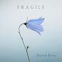 Fragile