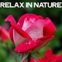 Relax in Nature