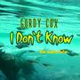 I Don't Know (feat. Kendra Foster)