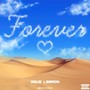 Forever (Explicit)