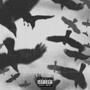 Bird (Explicit)