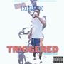 Triggered Freestyle (Big Drino Version) [Explicit]