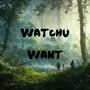 Watchu Want (Explicit)