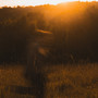 All At Once (Explicit)