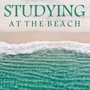 Studying at the Beach