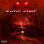 Black sheep (Explicit)