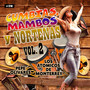 Cumbias Mambos Y Norteñas, Vol. 2