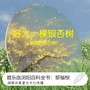 音乐版浏阳百科全书.达浒镇.丰田村.黎福根