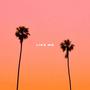 Like Me (Explicit)