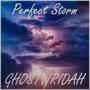 Perfect Storm