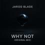 Why Not (Original Mix)