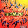 Whatamess 2023 (Explicit)