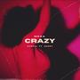 Crazy (feat. Rasoul & Shury) [Explicit]