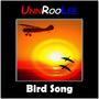 Bird Song