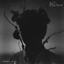 SAGEhaven (Explicit)