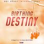 Birthing Destiny