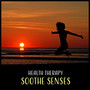 Health Therapy: Soothe Senses – Background Music for Feel Good, Wonderful Relaxing Waters, Rain & Ocean Waves, Quiet Zen Moments