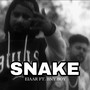 Snake (feat. Bny Boy)